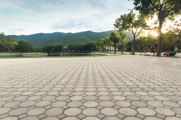 Best Driveway Paver Repair  in Pike Creek, DE