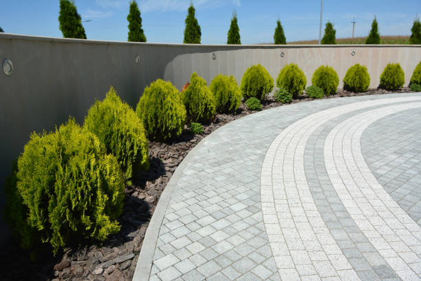 Best Brick Driveway Pavers  in Pike Creek, DE